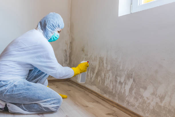 Licensed Commercial Mold Remediation service in Lafayette, OR - WQB Mold Removal