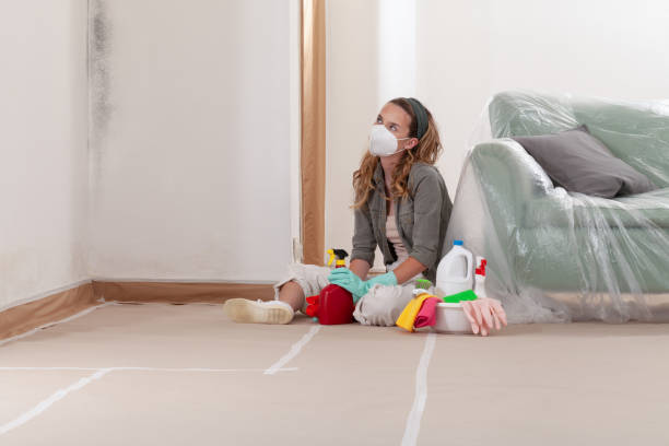 Reliable Commercial Mold Remediation contractor in Lafayette, OR by WQB Mold Removal